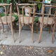 Lot of three old bistro chairs