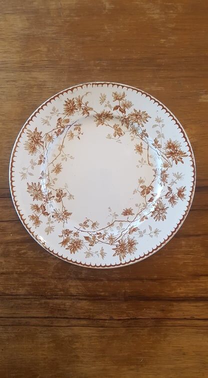 Set of 5 plates in Terre de Fer Creil & Montereau model Mignardise