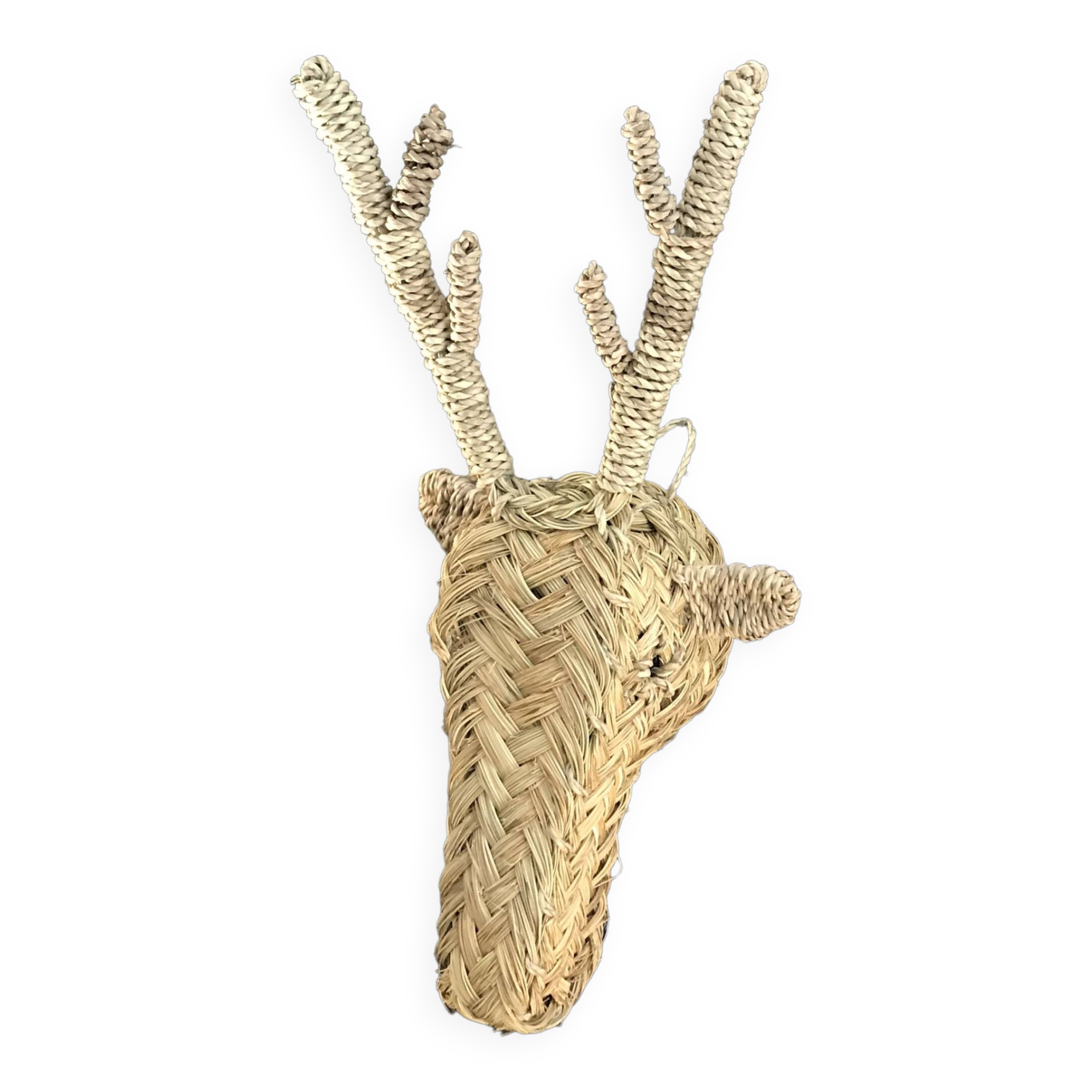 Braided alpha reindeer or deer head Morocco