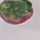Vintage Italian slipware bowl – artichoke in bloom