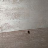 Vintage bar furniture by Louis Paolozzi for René Godfrid, 1950s