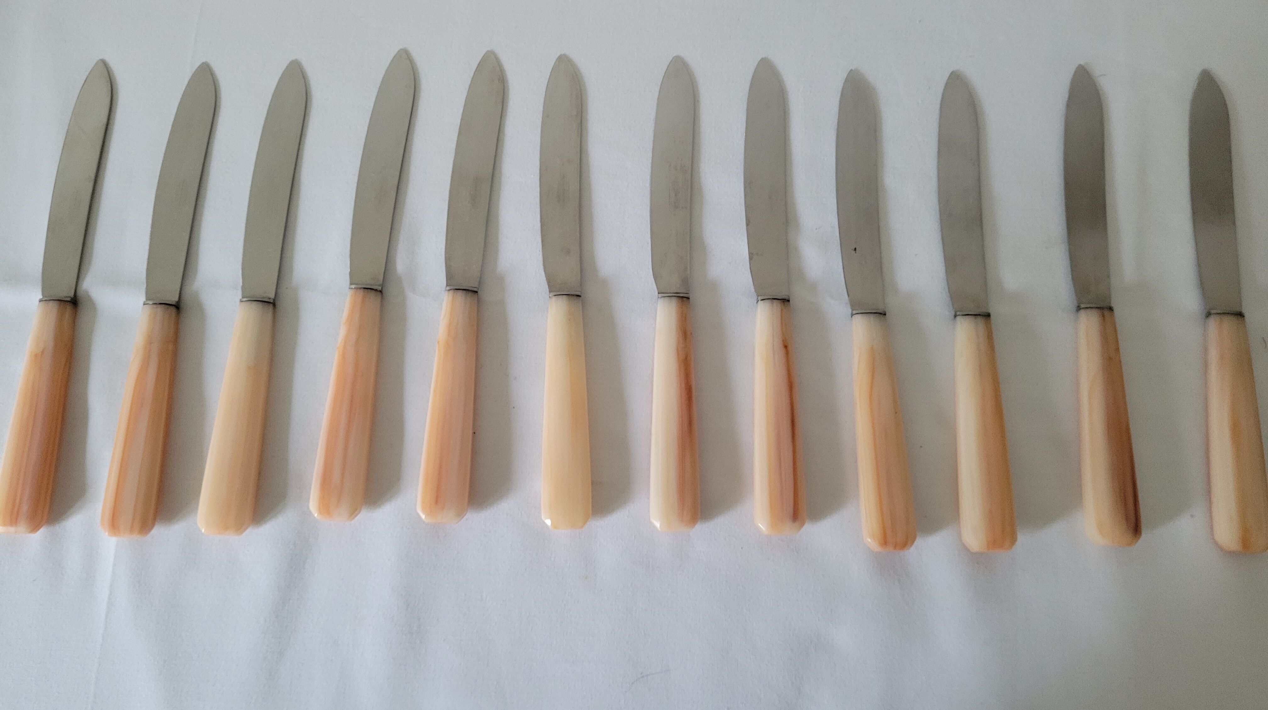 Box of 12 cheese knives