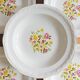 Set of 5 hollow plates Moulin des Loups
