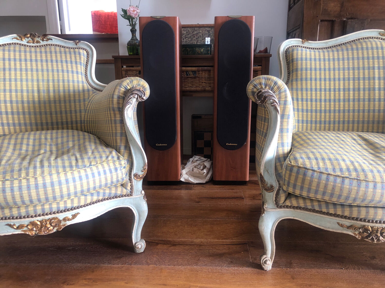 Louis XV rococo sofa and armchair