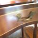 Table rognon d’appoint
