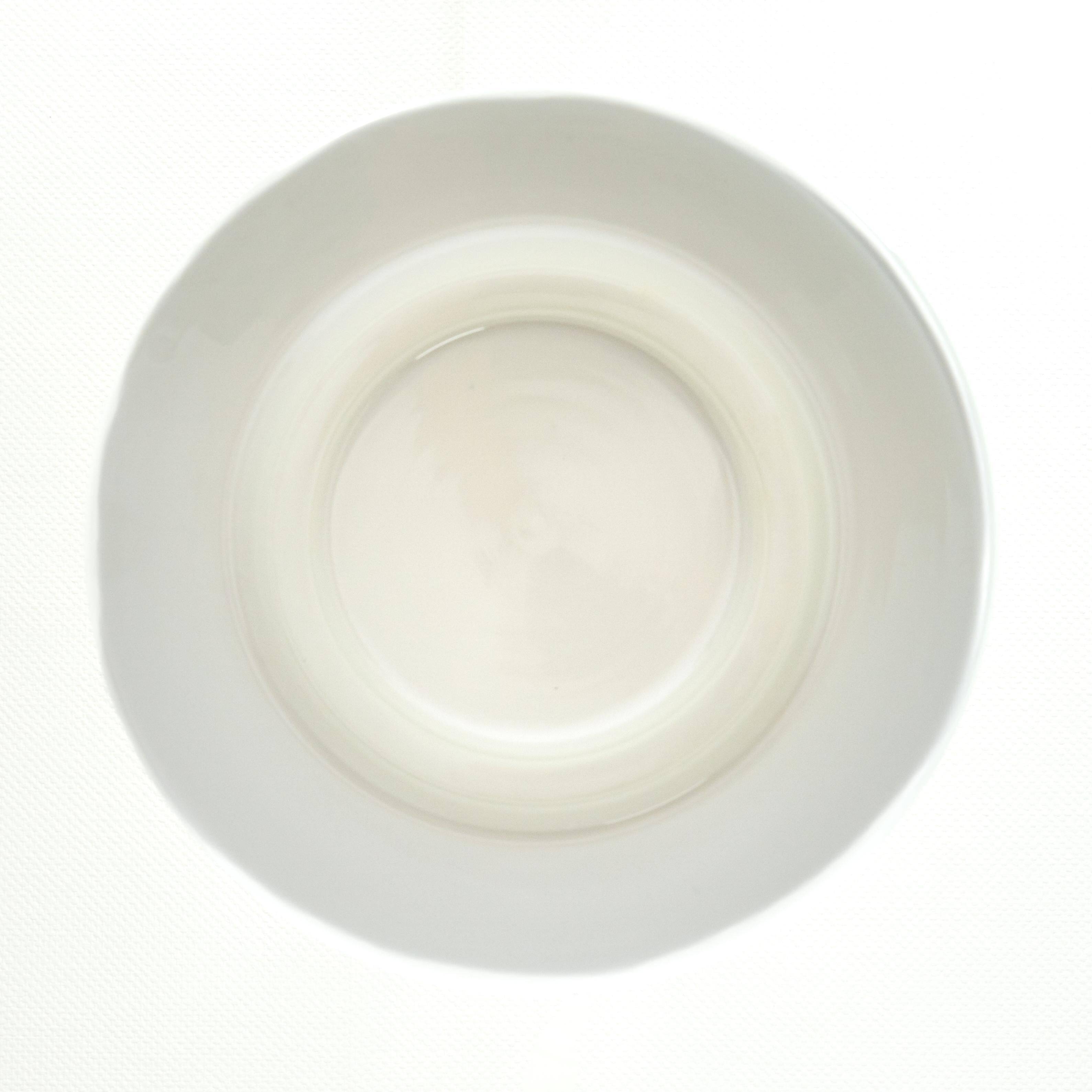 Opal glass pendant lamp by Limburg, Germany, 1960s