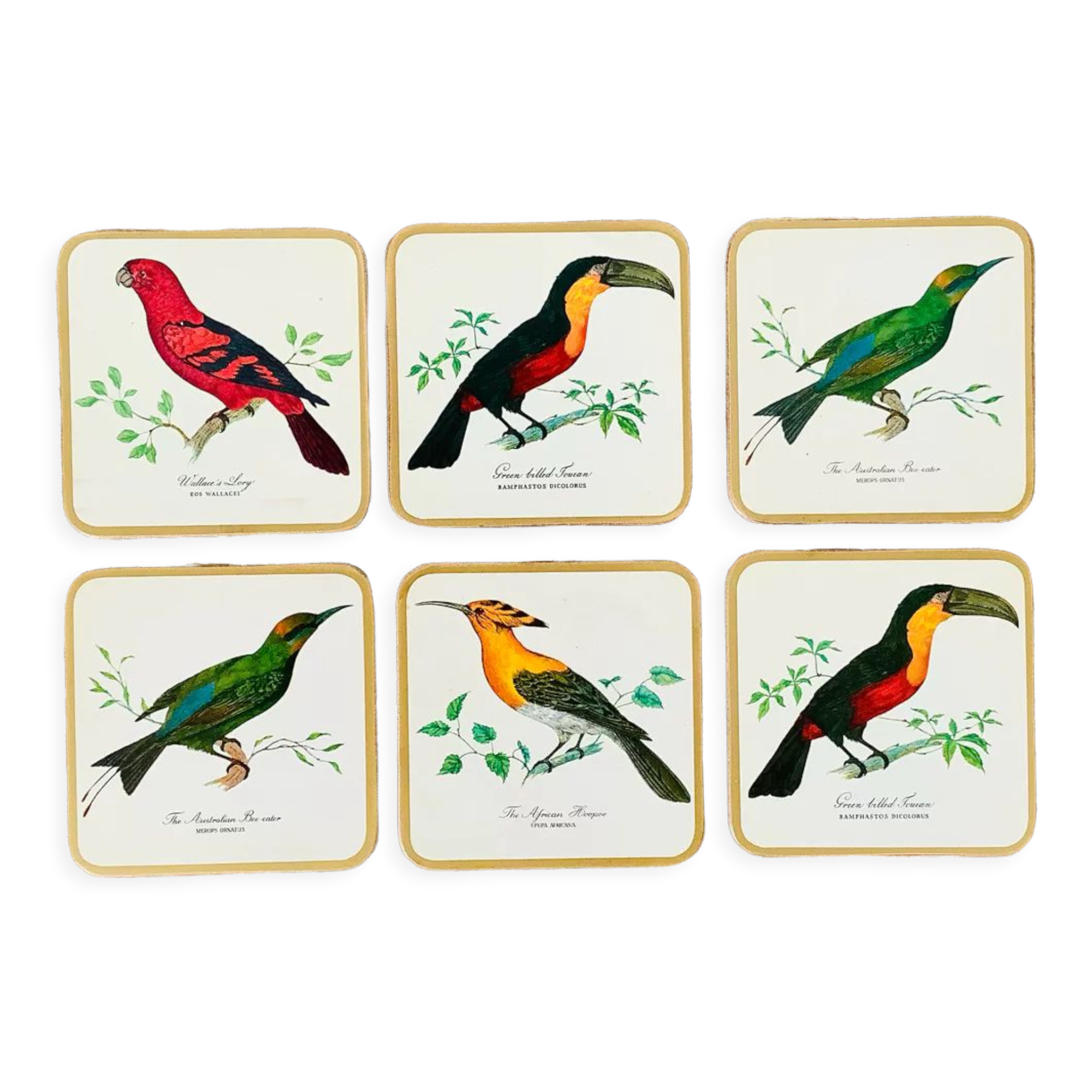Box of 6 coasters bird motif