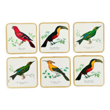 Box of 6 coasters bird motif