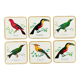 Box of 6 coasters bird motif