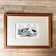 Ornithological plate "Ostrich & Cassowary" by Buffon