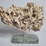 Antique White Coral on Grey Marble Base, 21 cm