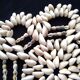 Vintage seashell trivet