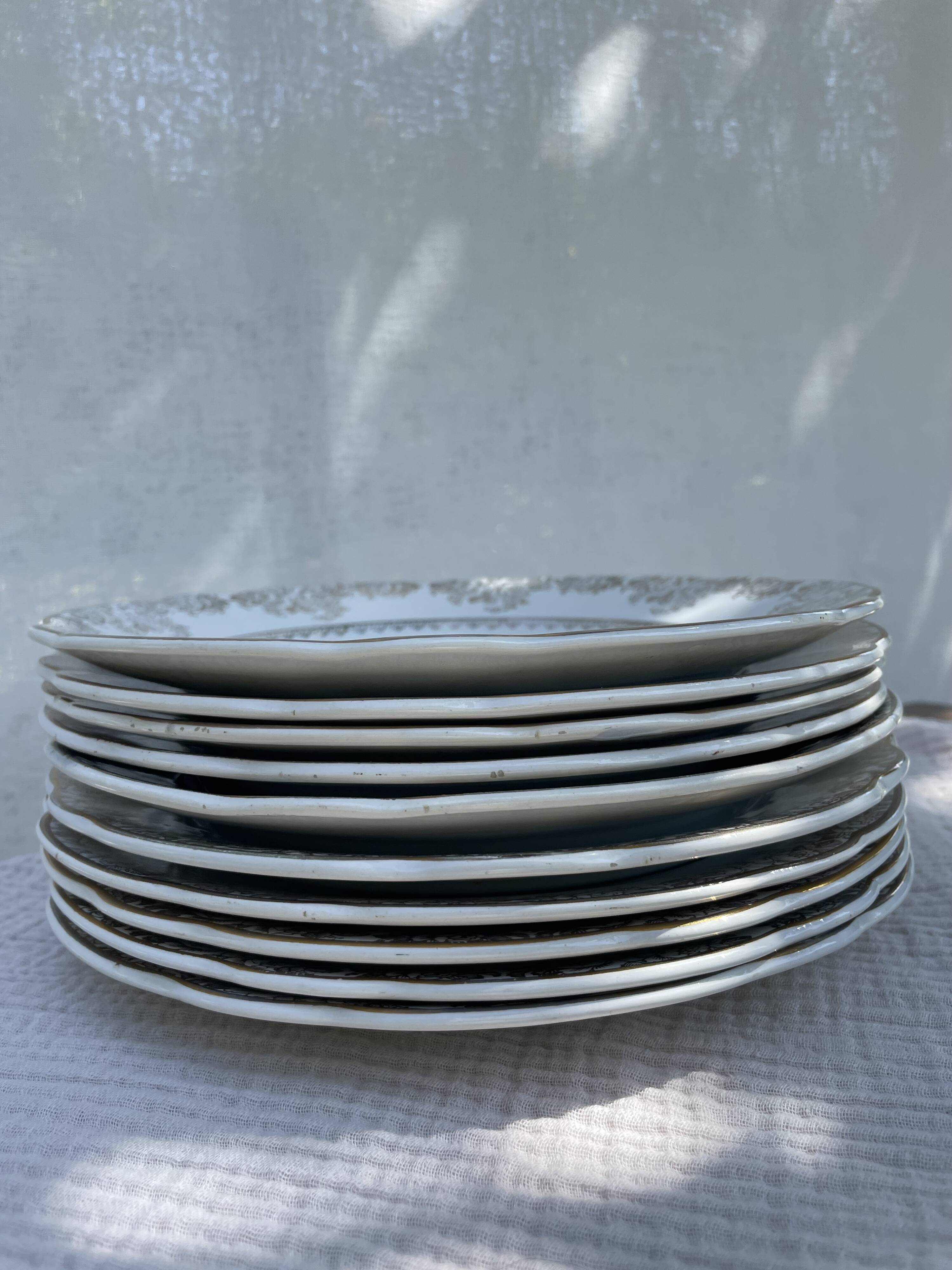 Set of 10 vintage French plates – Digoin Sarreguemines, collection