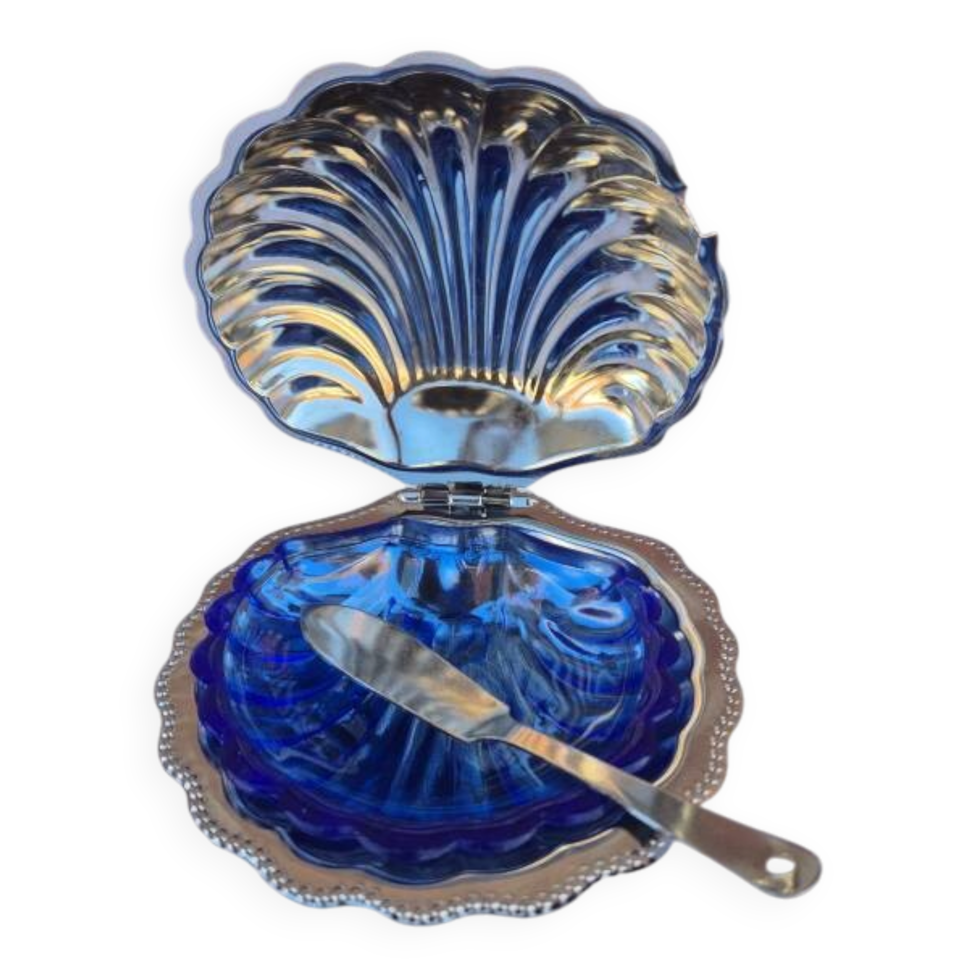 Beurrier inox forme coquillage coquille Saint Jacq