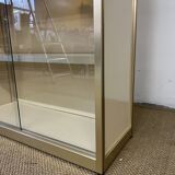 Vintage library display case