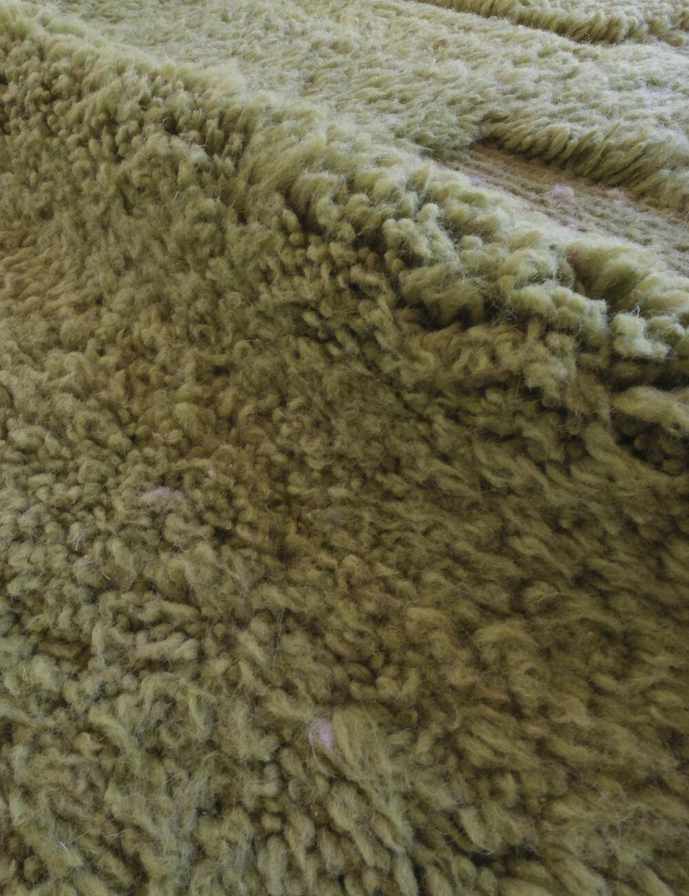 Contemporary Green Rug - 240 x 150 cm