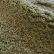 Tapis Vert Contemporain - 240 x 150 cm