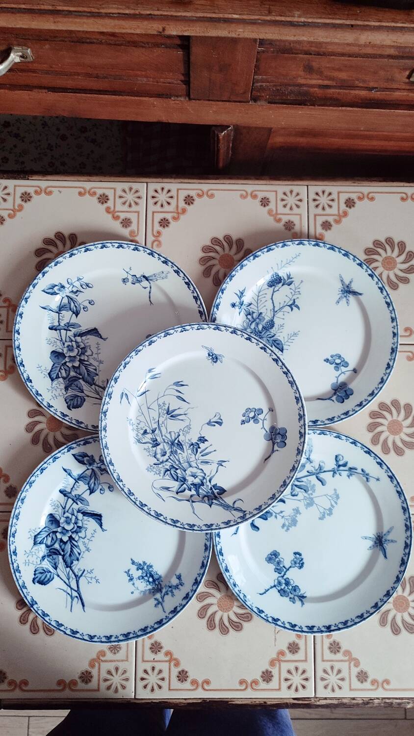 5 Carmen dinner plates by UetC Sarreguemines