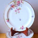 CB France porcelain plates