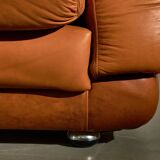 Light Warm Brown Leather Sofa Set