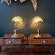 Pair of "Shell" lamps in brass - 1970.