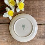 9 Villeroy & Boch dessert plates