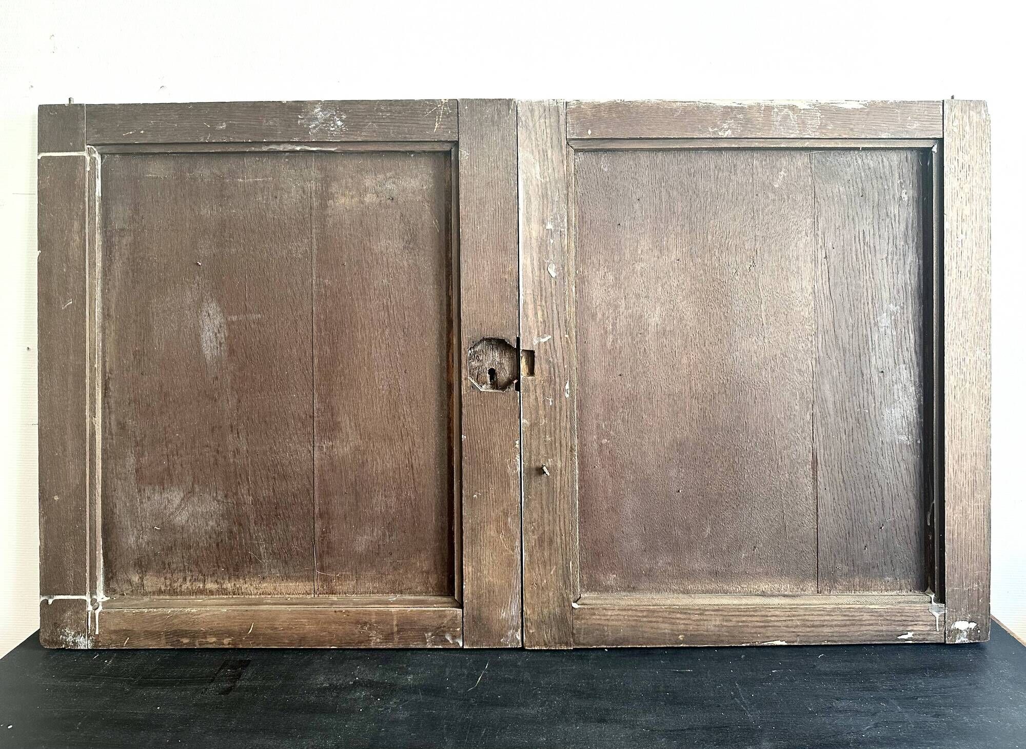 Pair of Louis XVI cupboard doors in carved wood, late 19th century.
