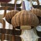 Suspension 3 arms rattan and teak vintage 60s