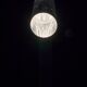 Lampadaire "King" par Edy ten Berge