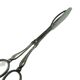 Danish Art Nouveau grape scissors, 1920s
