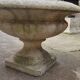 Pair of medicis vases in old reconstituted stone 1950s