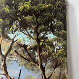 Villa by the seaside in Ramatuelle, oil on canvas signed Picard 1926.