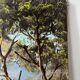 Villa by the seaside in Ramatuelle, oil on canvas signed Picard 1926.