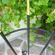 Opalines design lamppost