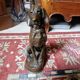 Bronze dog E. Fremiet
