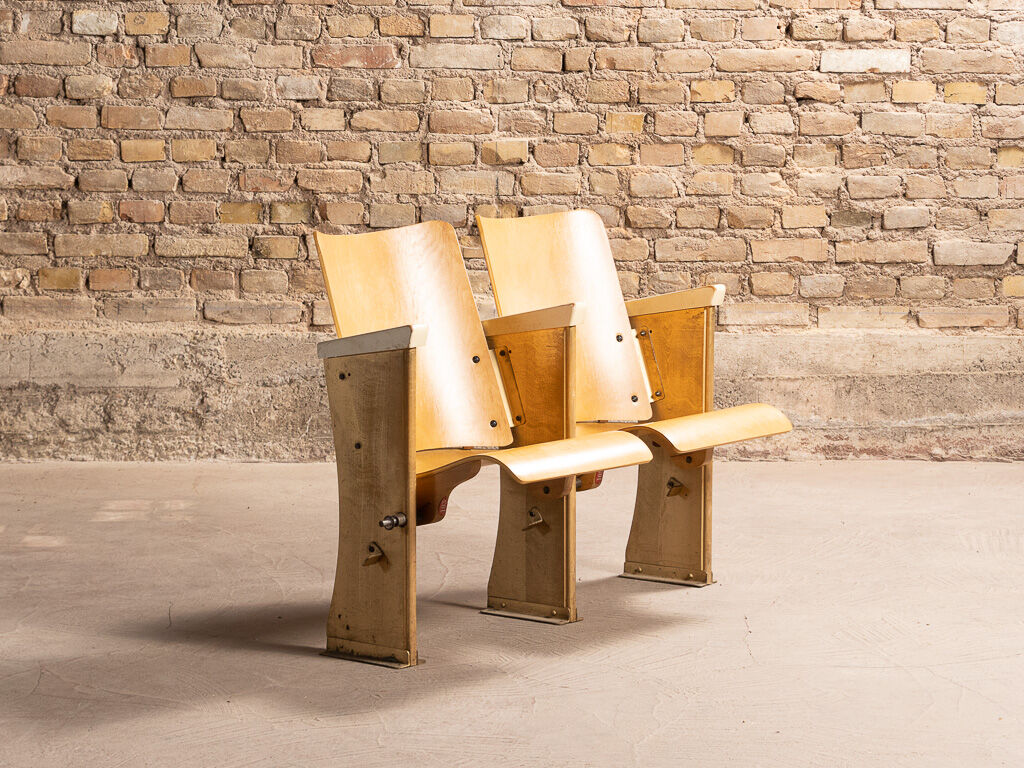 Pair of cinema folding seats