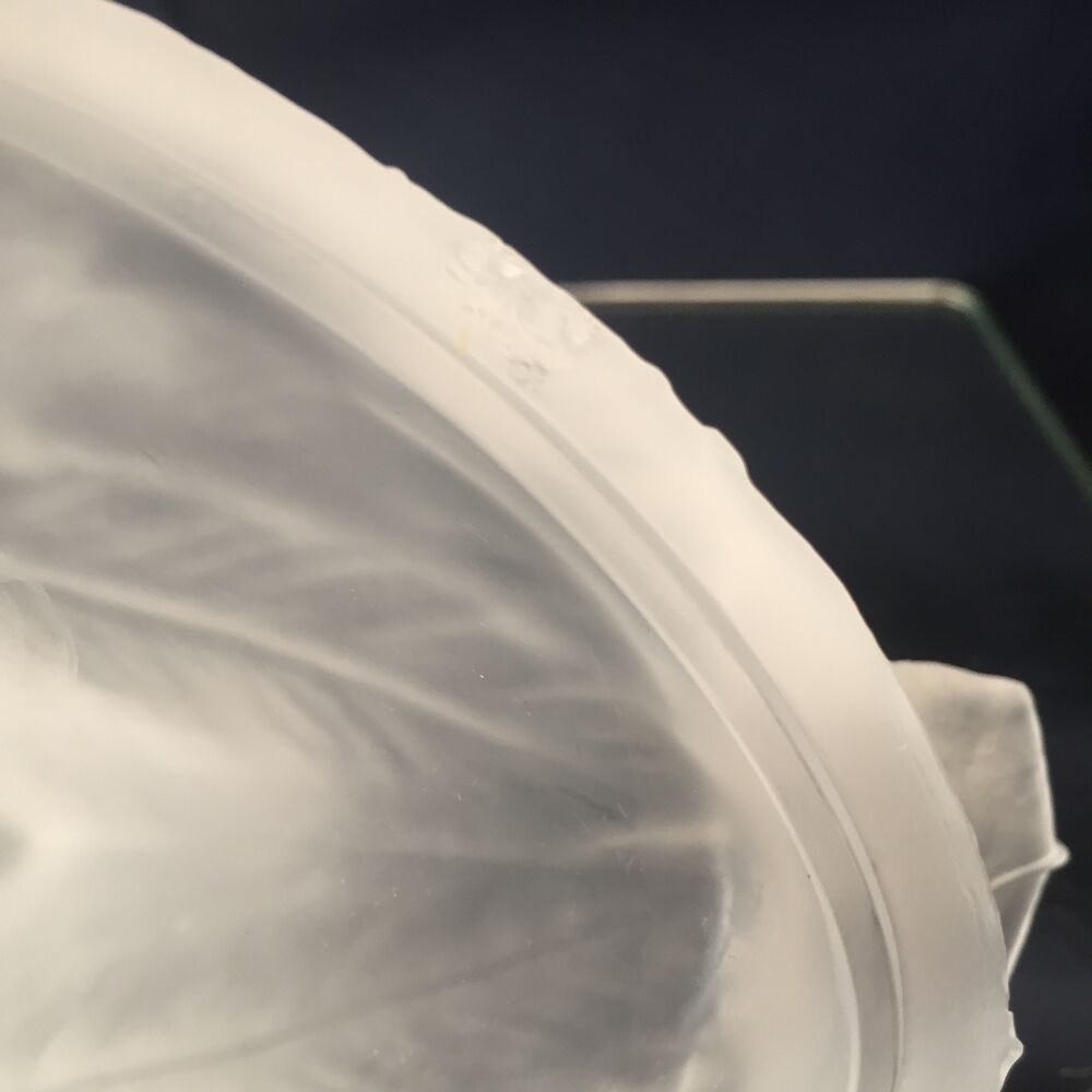 DUCK FROSTED GLASS BAG OR POCKET TRAY