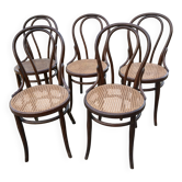 Thonet chairs