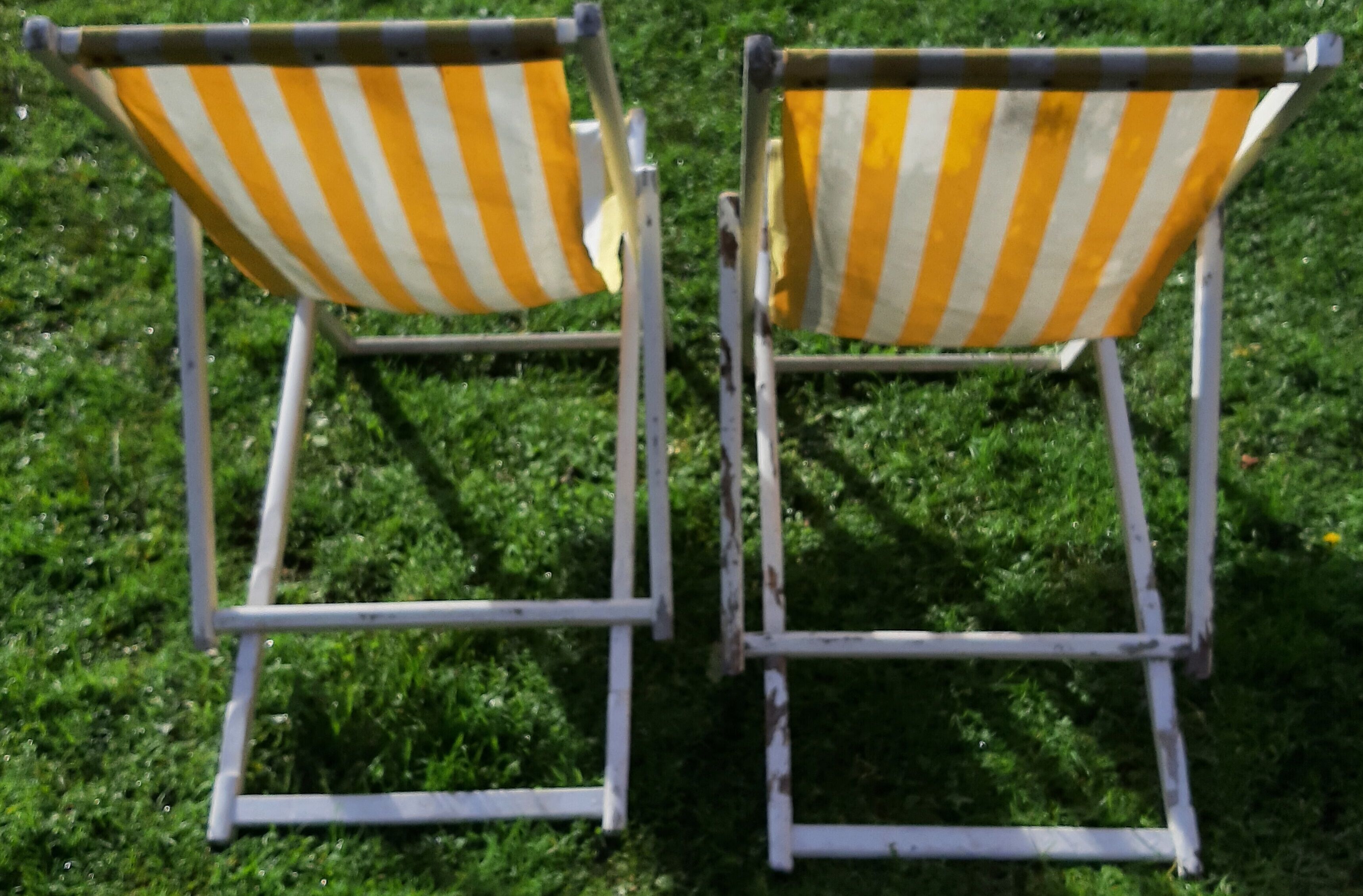 Pair of vintage chaises longues