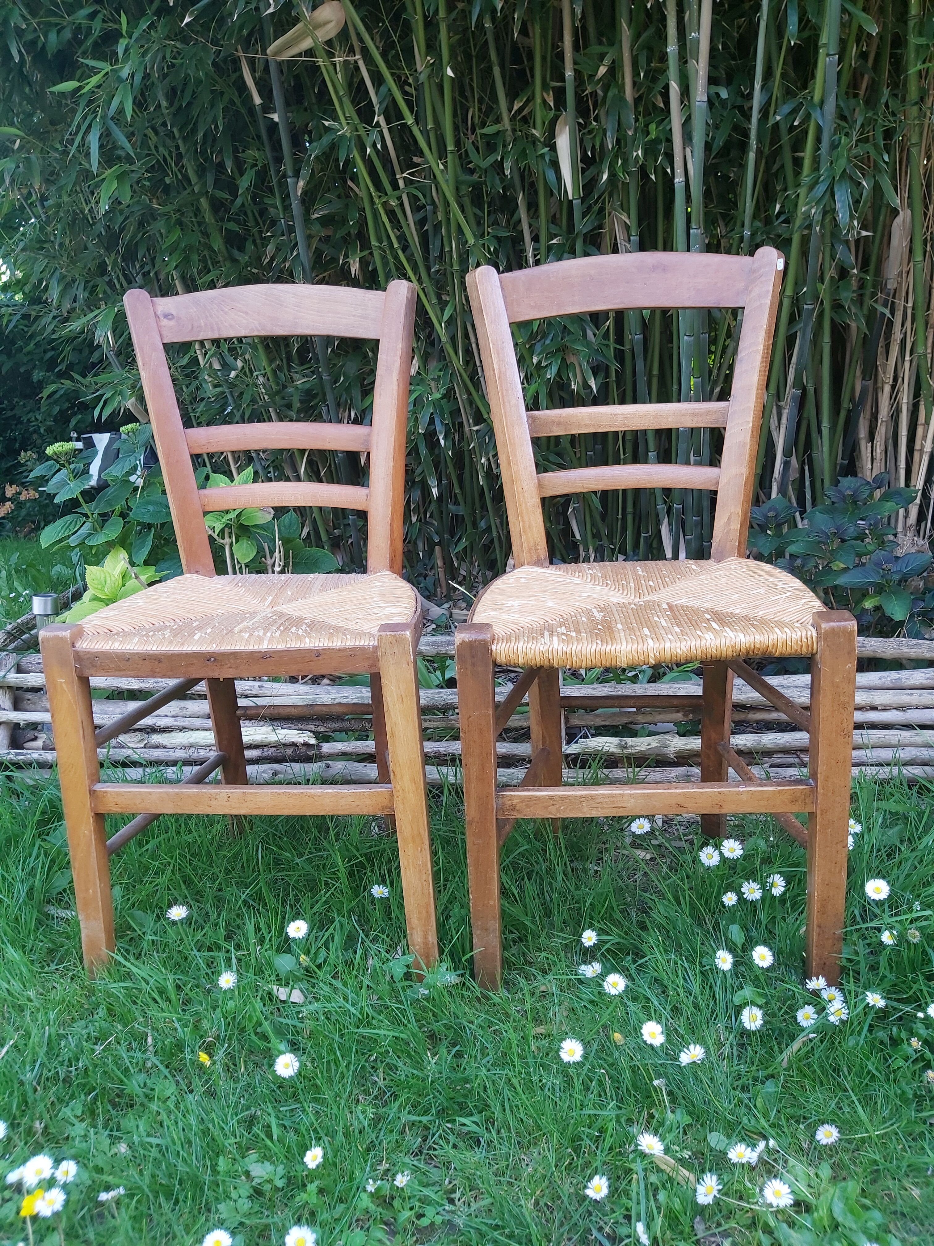 Rush chairs