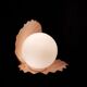 Lampe coquillage rose saumon