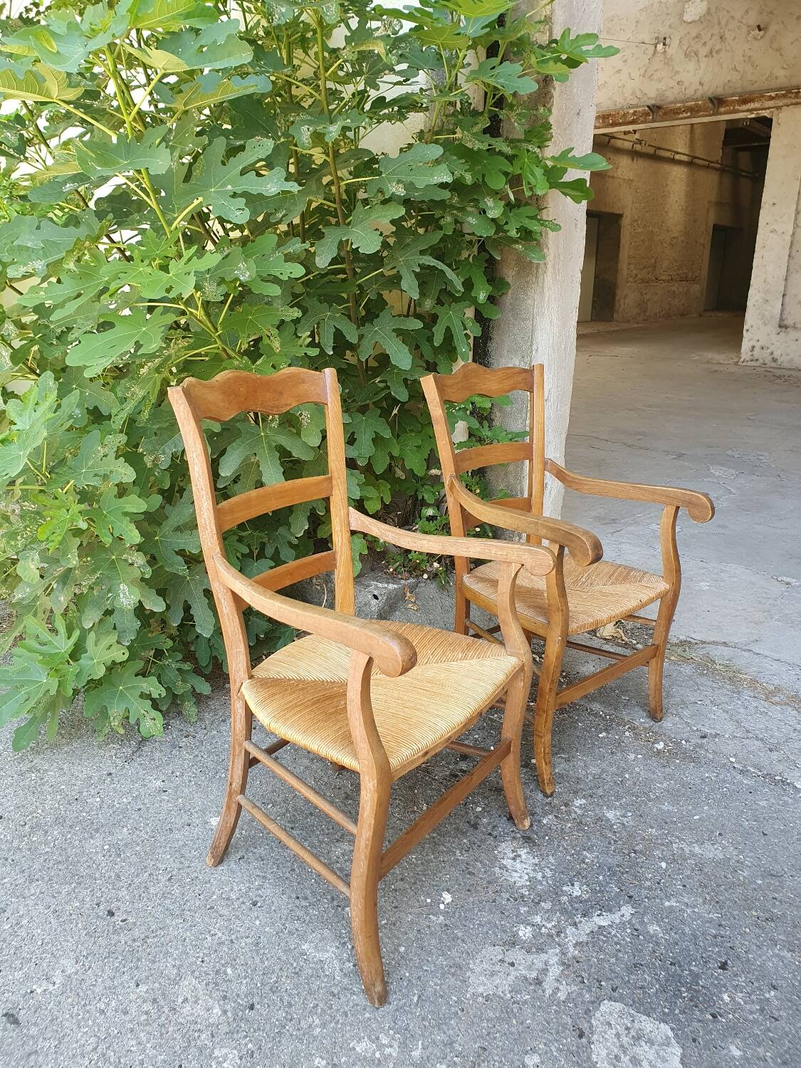 Pair of armchairs