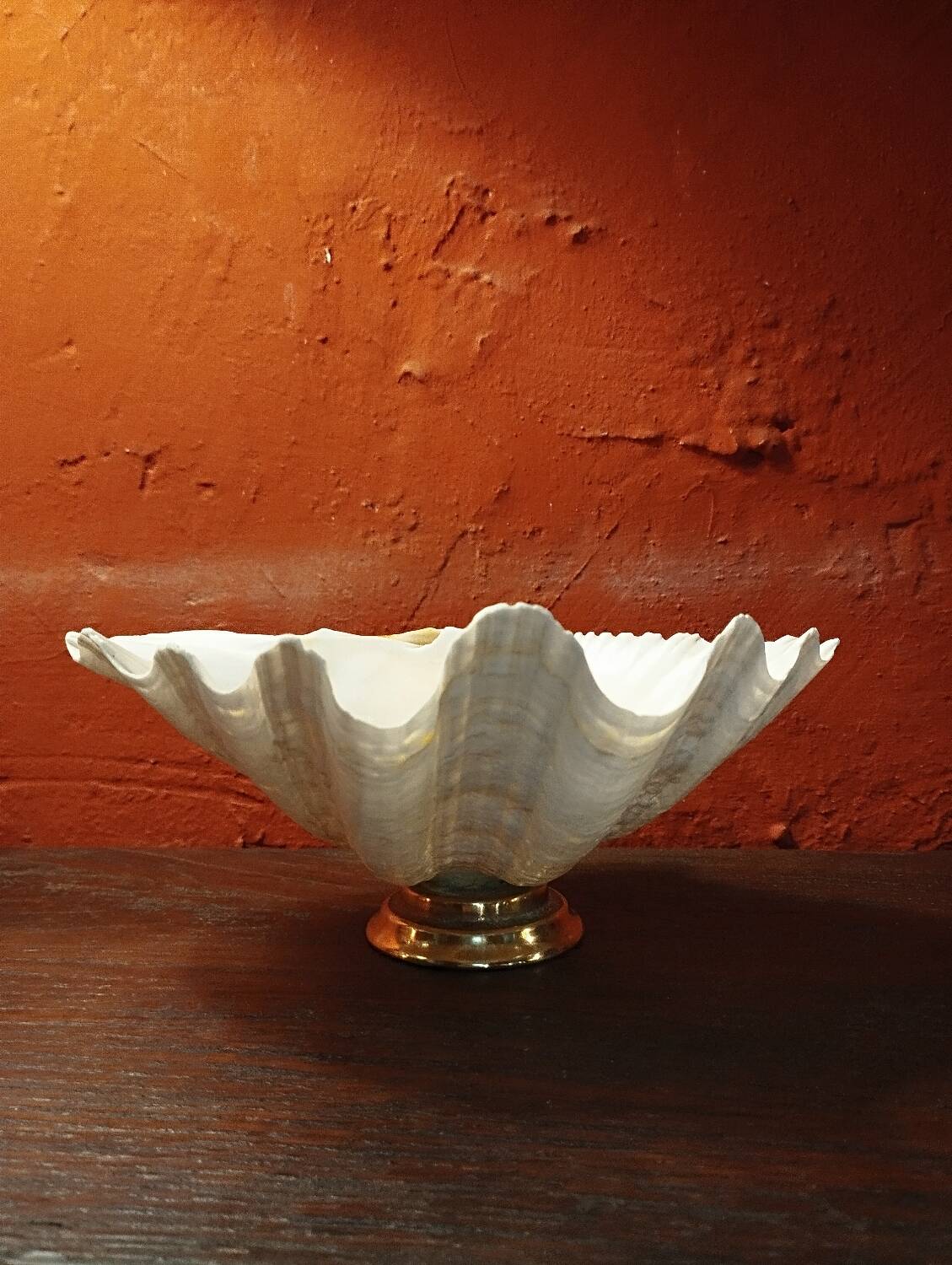 Shell on base, holy water font