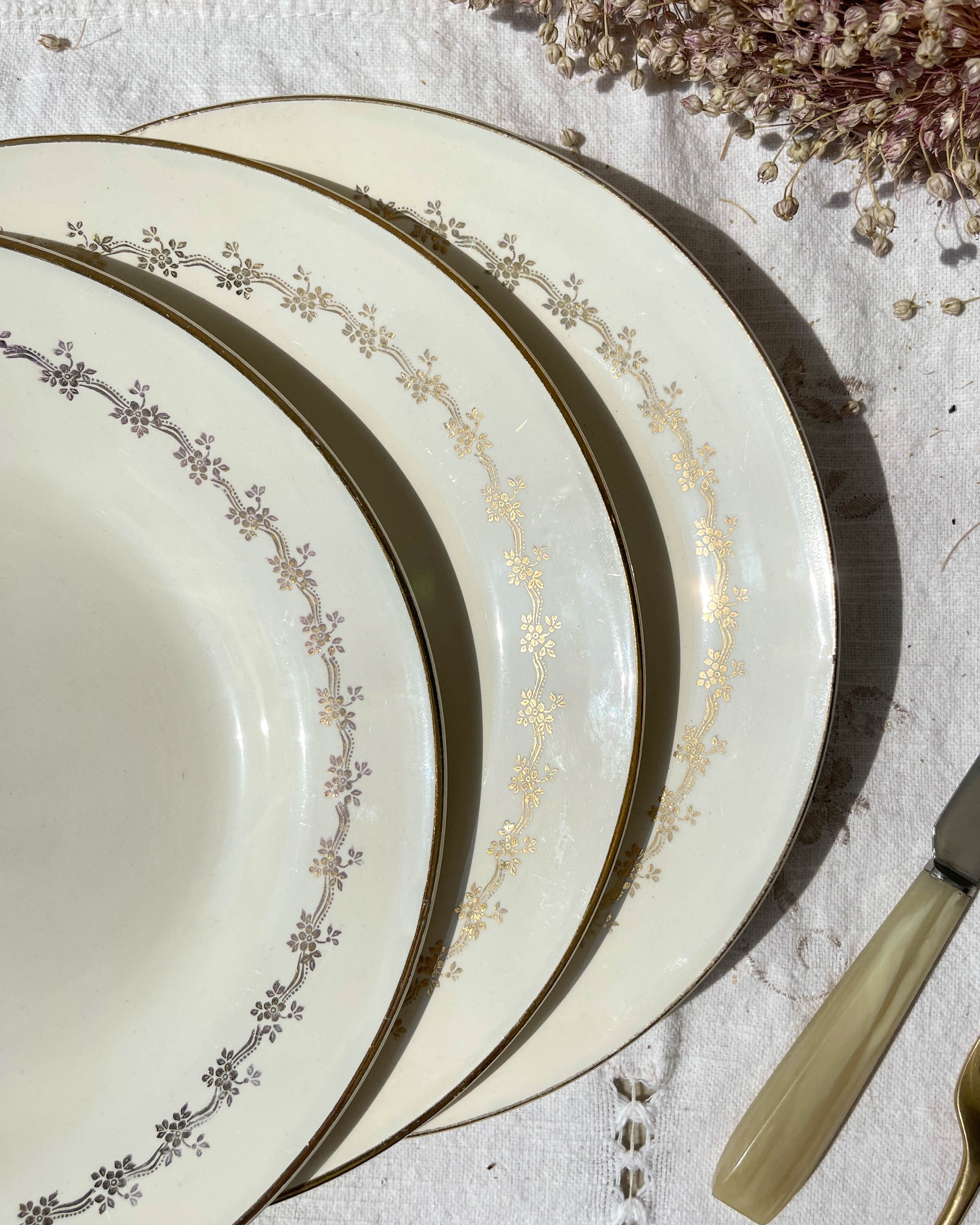 6 opaque porcelain dinner plates, Digoin model "Suzy"