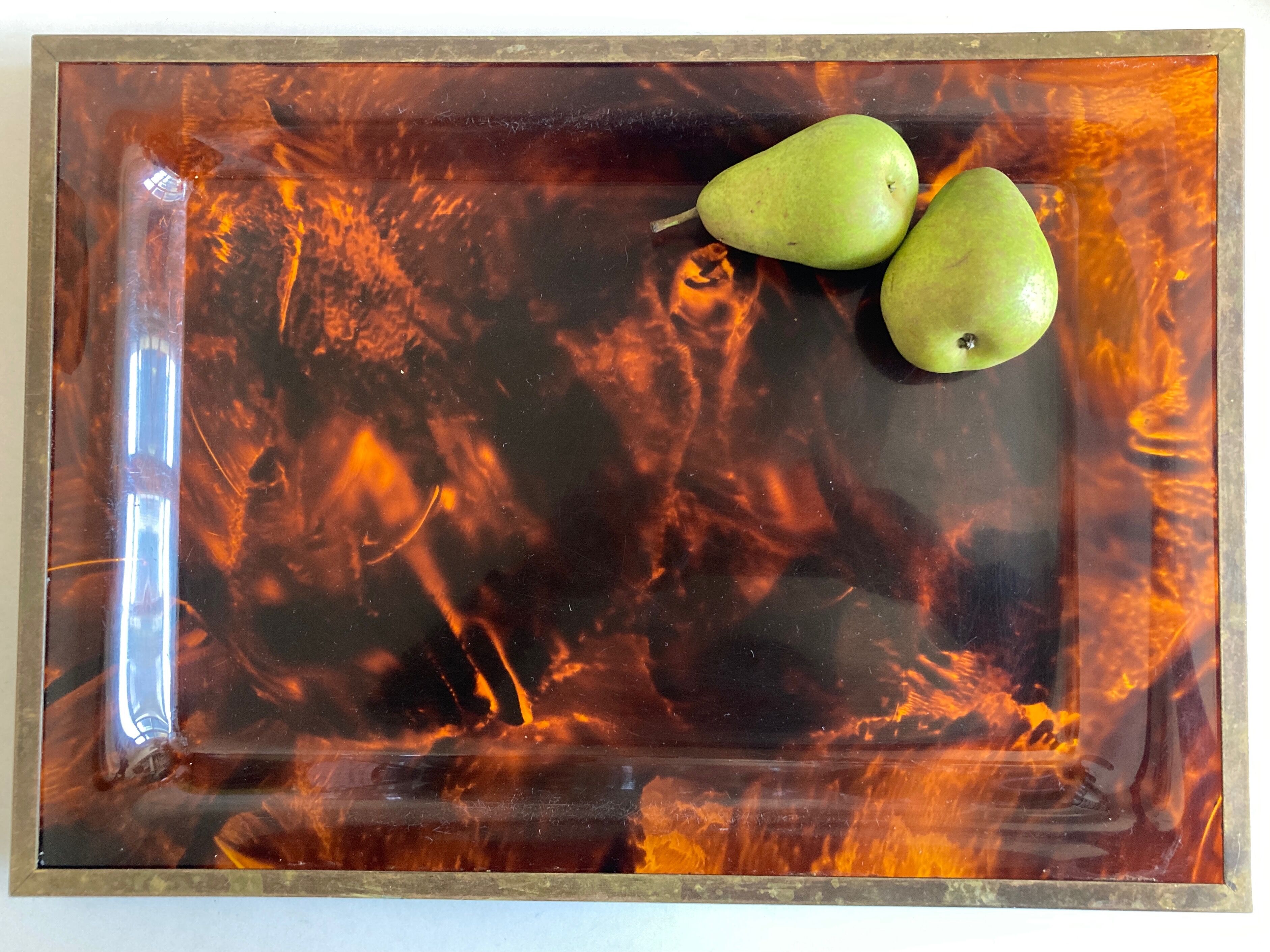Plate of lucite scale and patinated brass