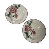 Floral deep plates hbcm