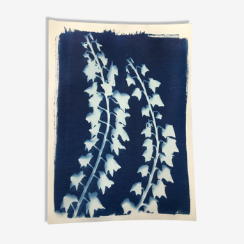 Botanical Cyanotype