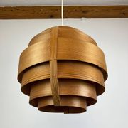 Scandinavian Suspension by Hans Agne Jakobson, pin 1960
