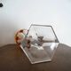 Baccarat "malmaison" orange double crystal wine glass - 19 cm