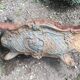Antique cast iron planter